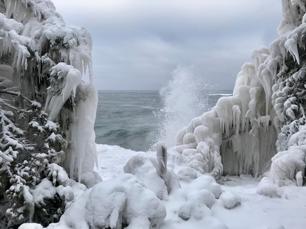 Frozen trees along Lake Superior’s shoreline in Marquette