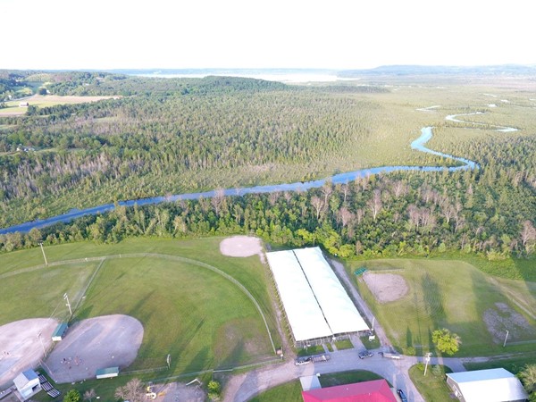 Aerial view of Cedar River