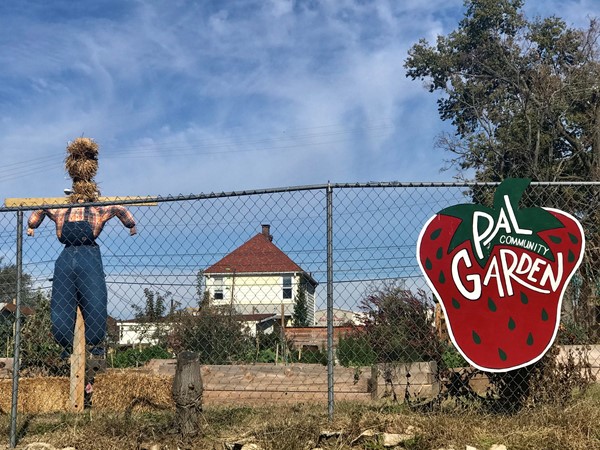 Pal Community Garden, Strawberry Hill.  Quite the place to see  