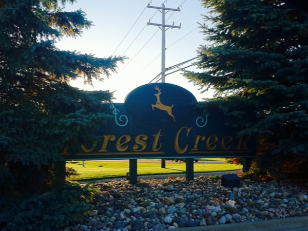 Forest Creek Condominiums in Davison