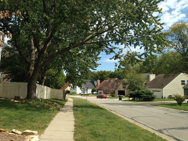 Homes lined up along the street in Deerfield Village South