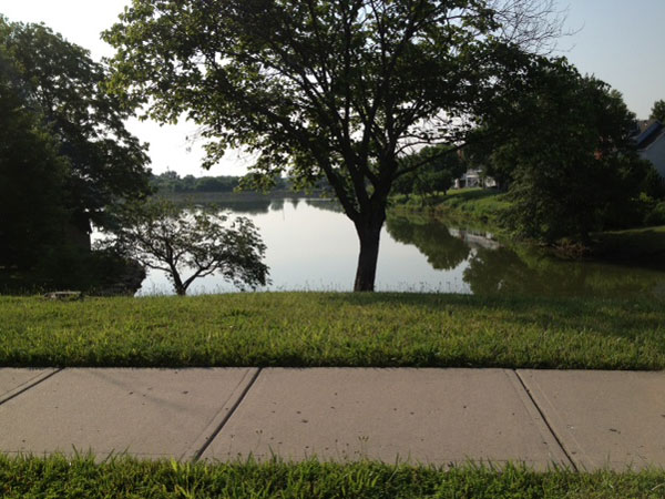 Waterfield subdivision has a beautiful community lake 
