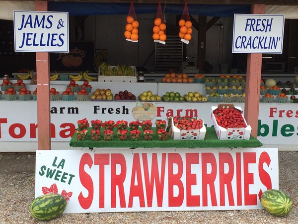 Fresh fruits, jams, jellies, and more available at the Market in Abita Springs
