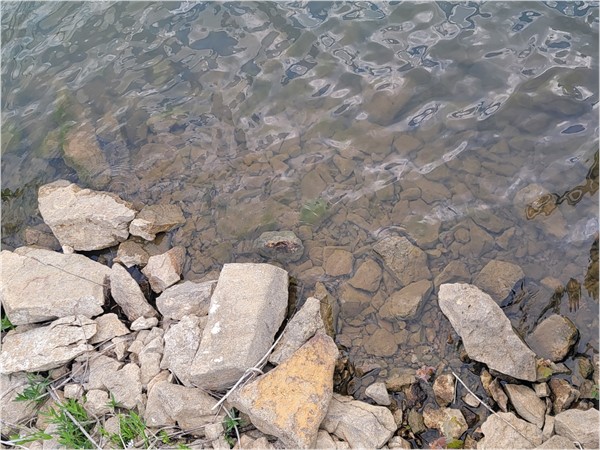 Shore banks of Madison Lake are crystal clear
