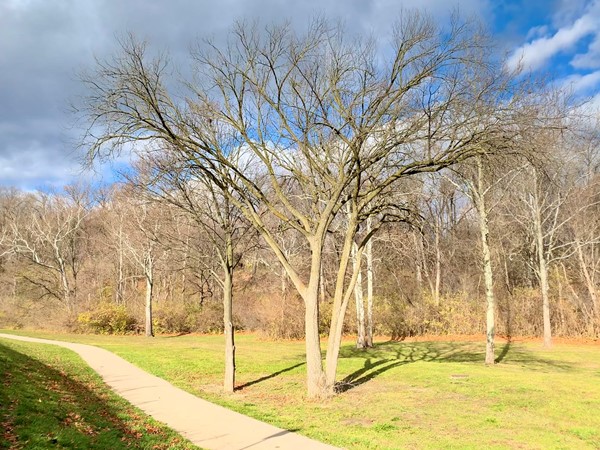 Even in November, there are beautiful sights on Hines Park walking trail near Wilcox Lake!