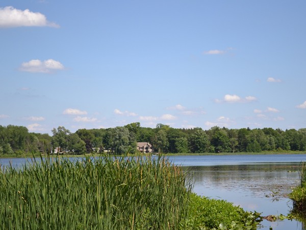 Fennessy Lake near Walker