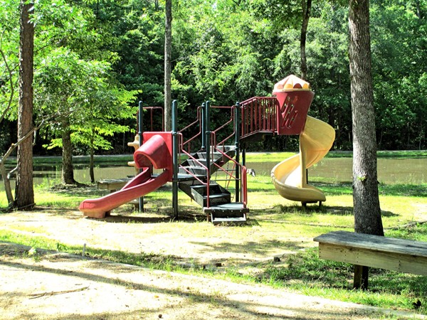 Children love having their own private park