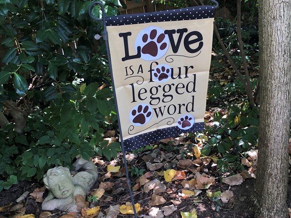 Yard signs are a fun way to personalize your yard 