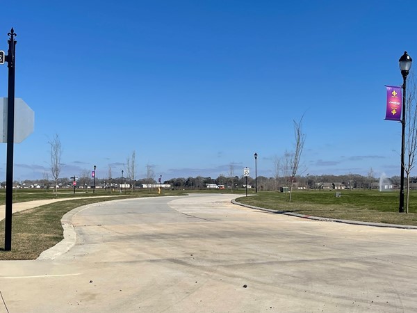 Langlinais Ridge Estate street view