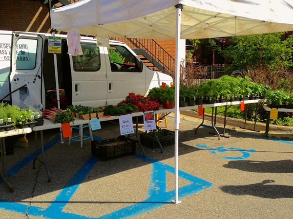 Fresh produce and herbs at the Saline Farmers Market!