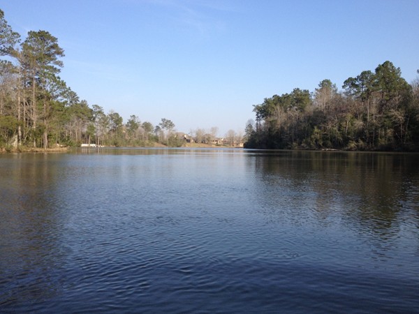 Wilkins Creek has community access to two lakes 