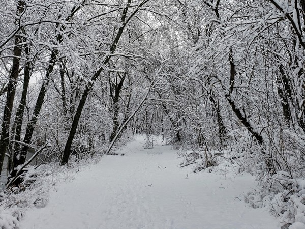Winter wonderland - Overland Park