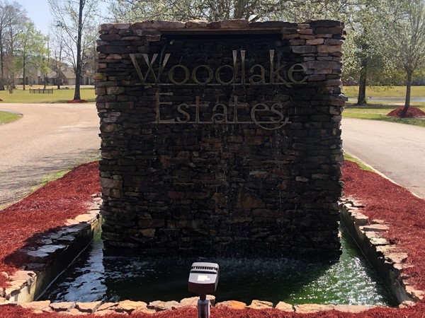 Woodlake Estates has great properties with five lakes, a strong HOA, and a large community pool