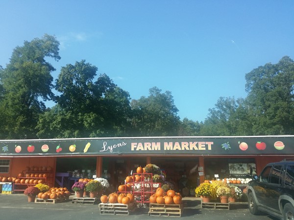 Lyons Farm Market