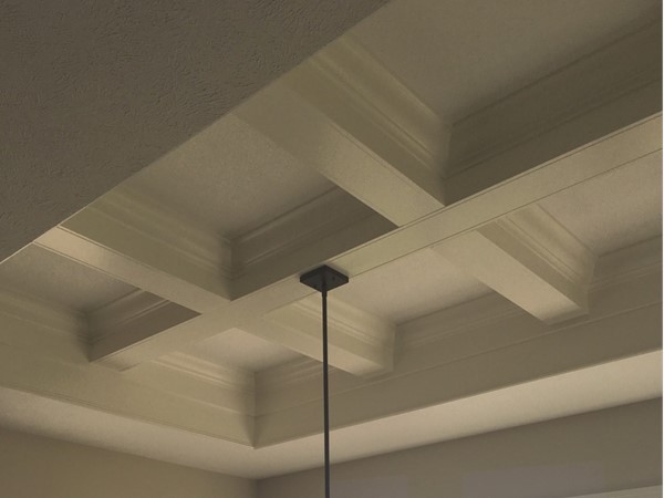 Details, details. Look at the ceilings in these Eagle Creek homes