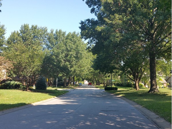 Canopies of trees and manicured lawns help reflect calm and quiet nature of this community