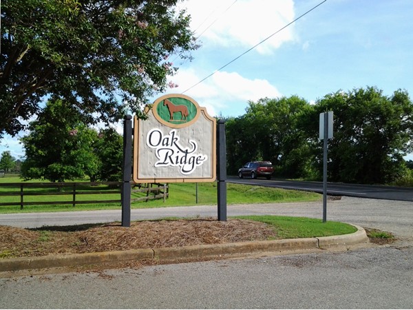 Oak Ridge price range low $200's to mid 500's.  Most Lots five acres and some pond, community Pool