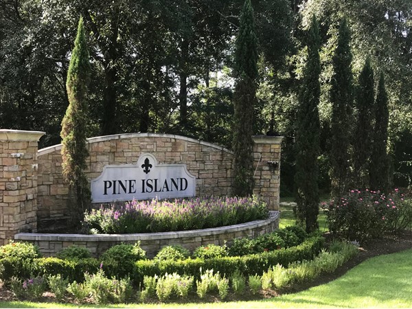 Welcome to Pine Island
