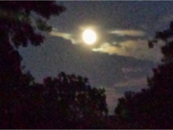 A beautiful Harvest Moon in West Little Rock