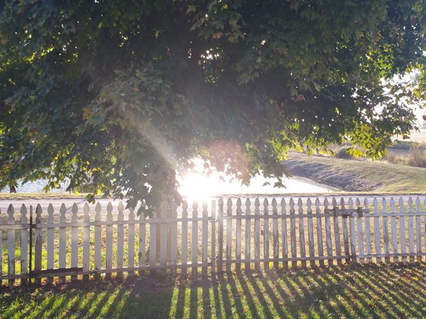 Morning sunshine breaking through the tree...simply a beautiful start to the day in Corder