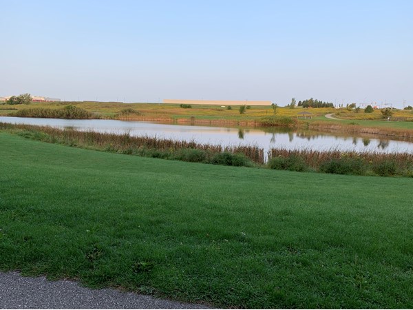 Prairie Lake is calm in the morning as ducks and geese are starting to head South 
