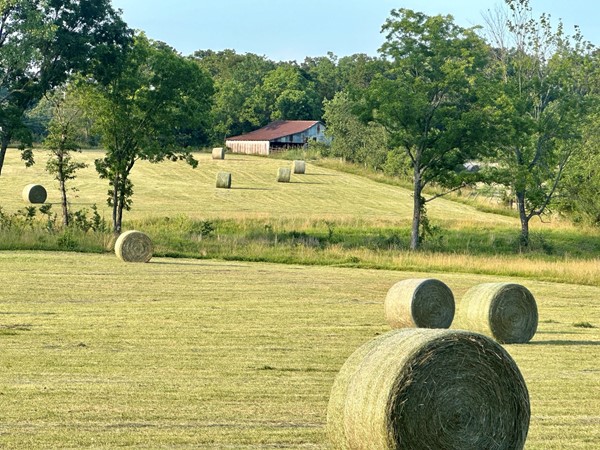 Haying season on the farm is a sign of the season