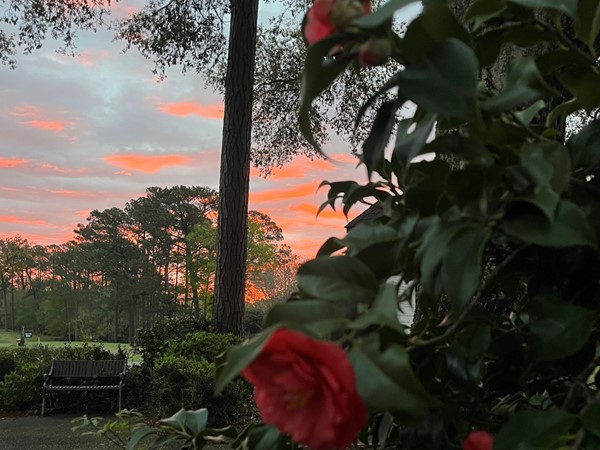 Sunrise on The Pines Golf Course