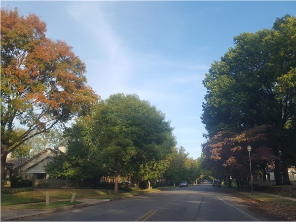 Leaves are changing and falling through Huntsville's Historical District