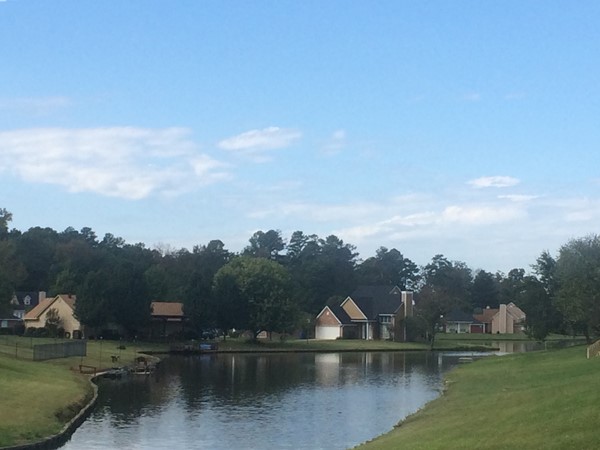 Amazingly beautiful private lake, subdivision located off I-220