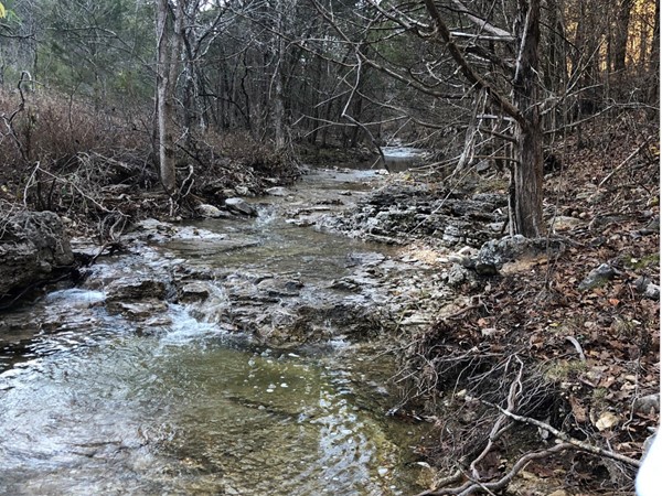 Winter serenity at Emory Creek