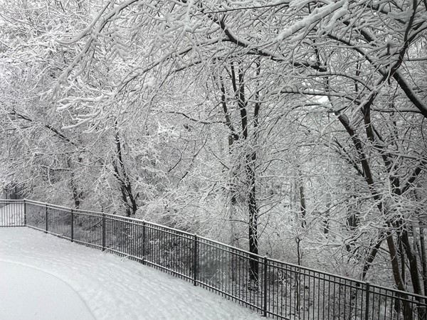 Gorgeous snow to start off 2024.  I love the serene and quiet of the fresh snow!!!