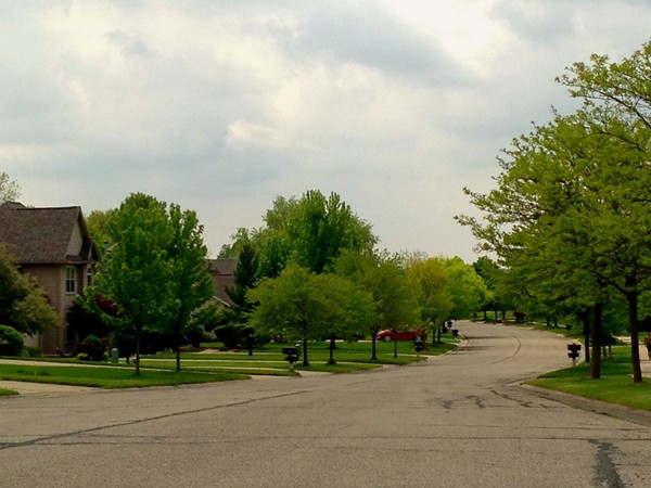 Wide, tree-lined streets within the Lake Forest Development 