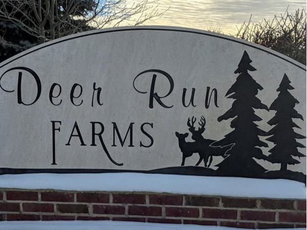 Deer Run Farms - Close to Grand Blanc in desirable East Middle School