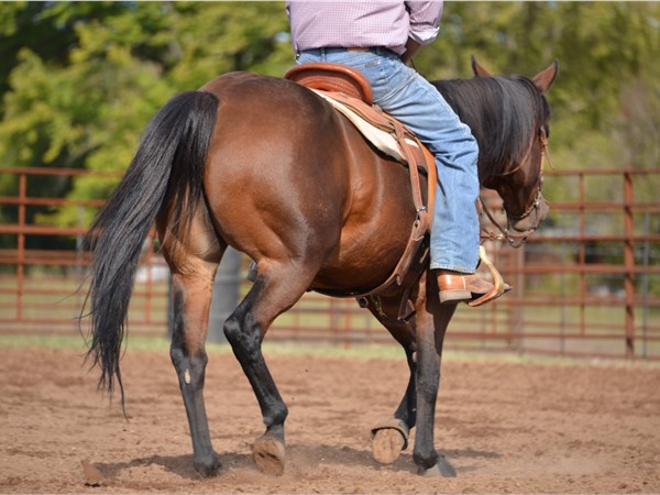Looking for a property in the Rodeo Cowboy Capital of the World? Saddle up and ride on over