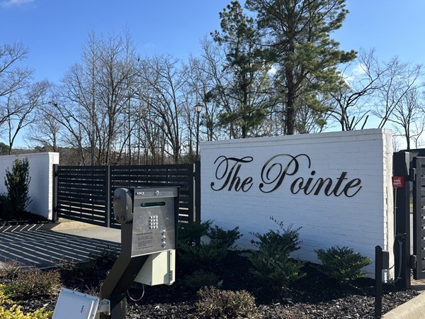 Gate at The Pointe of Hurricane Lake Estates