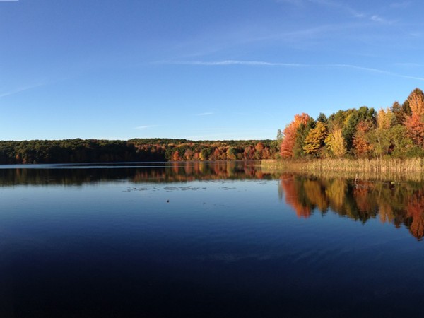 Fall at Pickerel Lake 