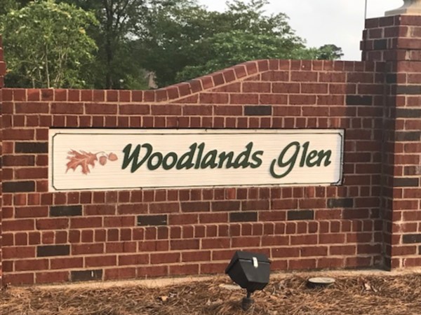 Woodlands Glen is a section of Castlewoods that has some very nice homes  