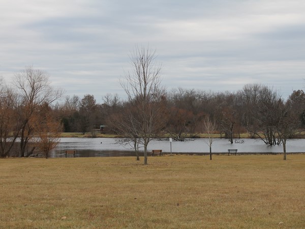 Clover Dell Park Lake area offers fishing platforms, walking trails, and even picnic areas