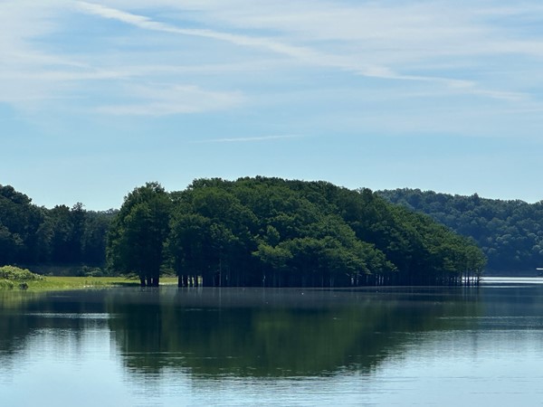 Mirror reflection on the lake 