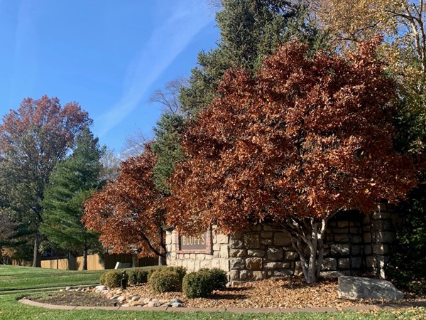Bent Tree Bluffs is such a beautiful neighborhood! Especially this time of year with the trees.
