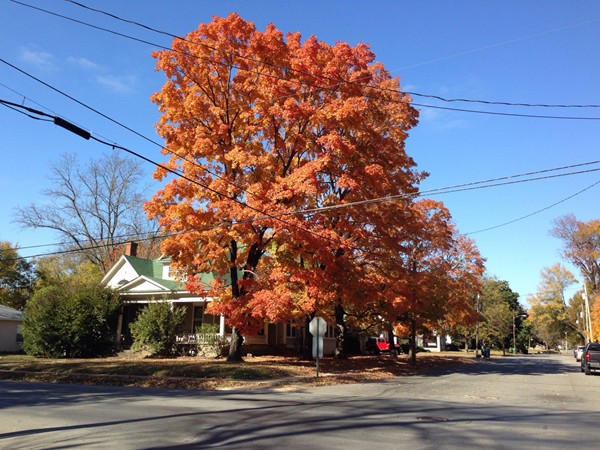 Conway comes alive with color in the fall
