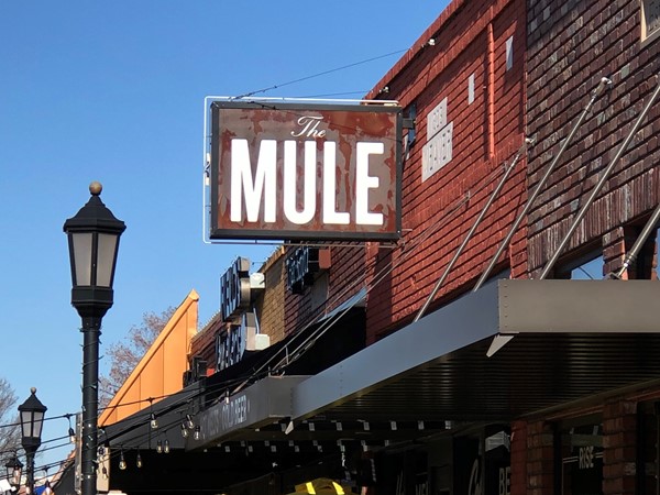Best Grill Cheese and Tomato soup you will ever have in Downtown Edmond is at The Mule  