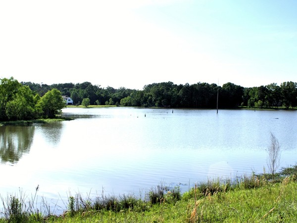 Portion of the lake in the North Brandon Shores section of North Brandon Estates
