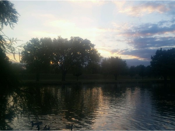 Beautiful view from one of the ponds at Carey Park