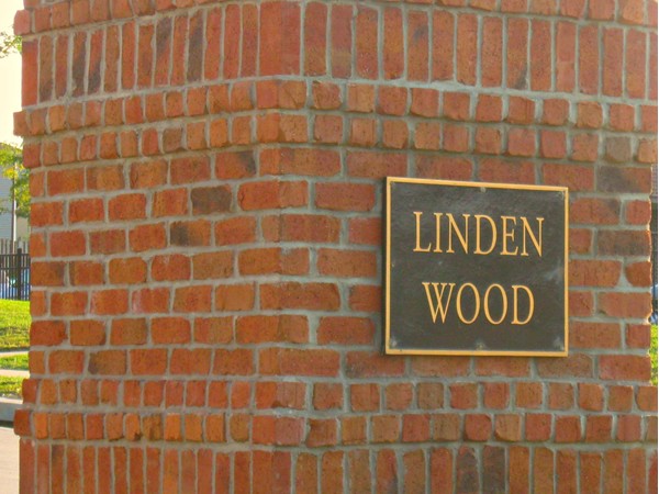 Linden Wood 