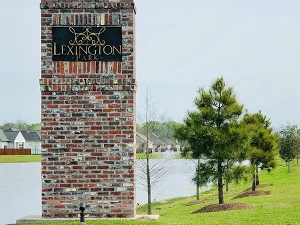 Lexington Park Subdivision offers lakes with walking path, community pool and garden homes