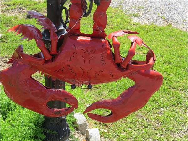 Yes, crabs are found in Ono Island canals...and mailboxes, too!