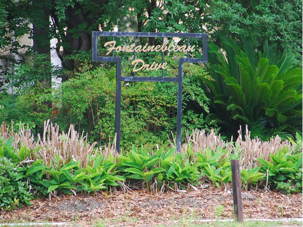 Fontainebleau Drive