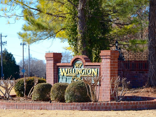 Wellington Park entry from Memorial Road