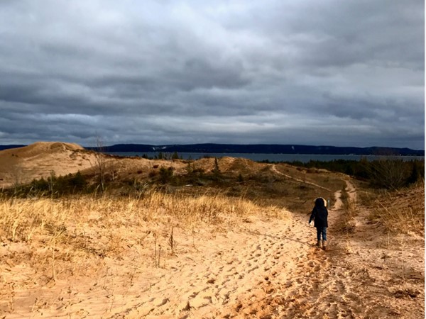 Glen Haven Dunes on a blustery January day